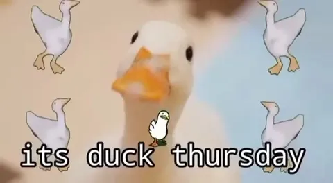 It's Duck Thursday