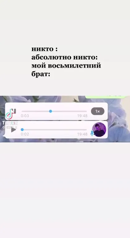 Восьмилетний брат отвечает голосовыми