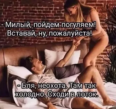 Сходи в лоток вместо прогулки