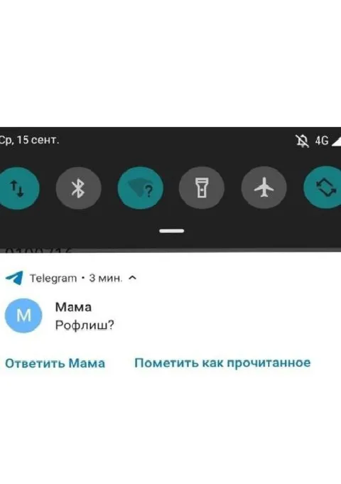 Мама спрашивает: «Рофлиш?»