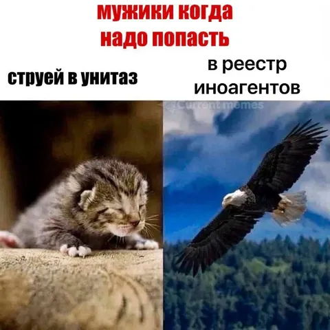 Мужики целятся куда надо