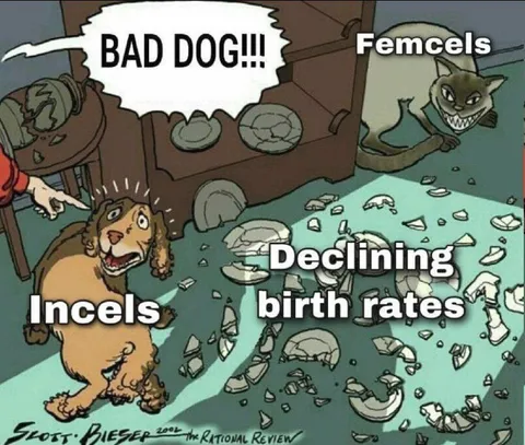Incels Blamed for Declining Birth Rates