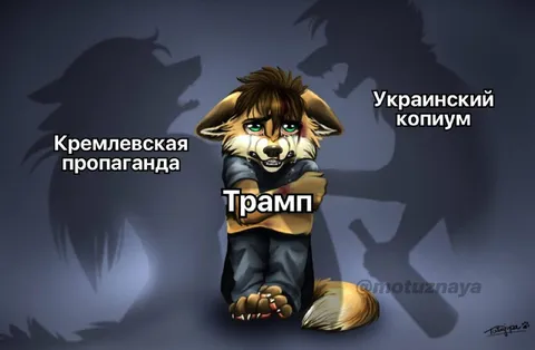 Трамп между пропагандой и копиумом