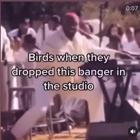 Birds Dropped a Banger