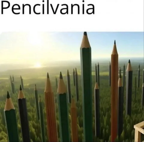 Pennsylvania Pencil Forest
