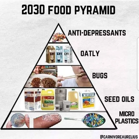 2030 Food Pyramid