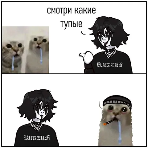 Смотри какие тупые коты