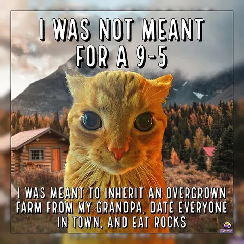 Not Meant for a 9-5