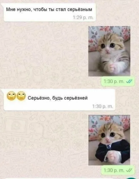 Котёнок становится серьёзным
