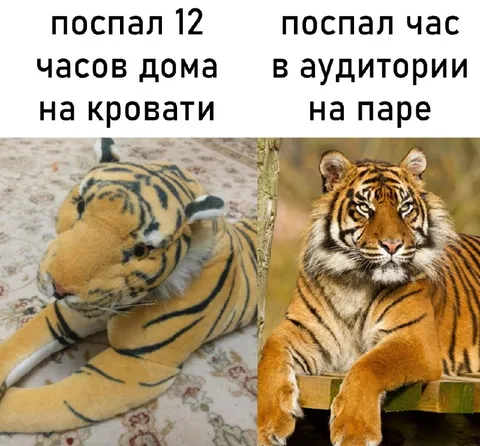 Поспал дома и в аудитории