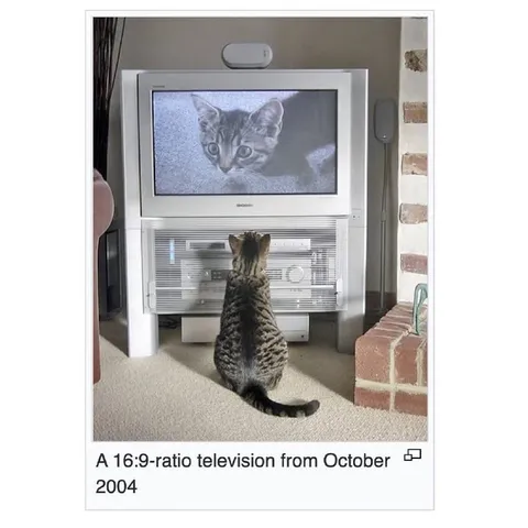 Cat Watching a 2004 TV