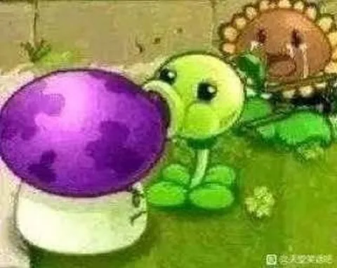 Маленький защитник рядом