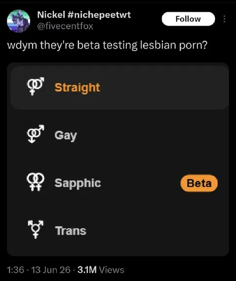 Beta Testing Lesbian Porn