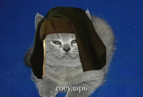 Кошки и судьба Темерии