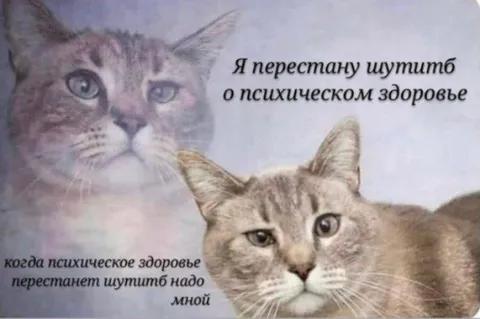 Когда психическое здоровье шутит надо мной