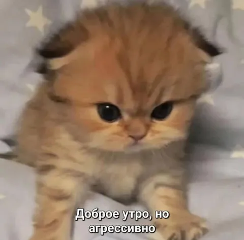 Доброе утро, но агрессивно