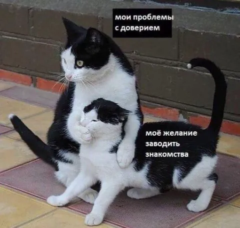 Проблемы с доверием и знакомства