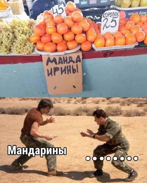 Мандарины на задании