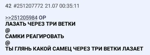 Самец через три ветки