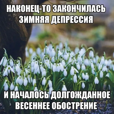 Весеннее обострение вместо депрессии