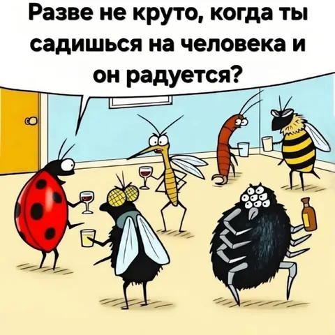 Когда человек радуется твоей шутке