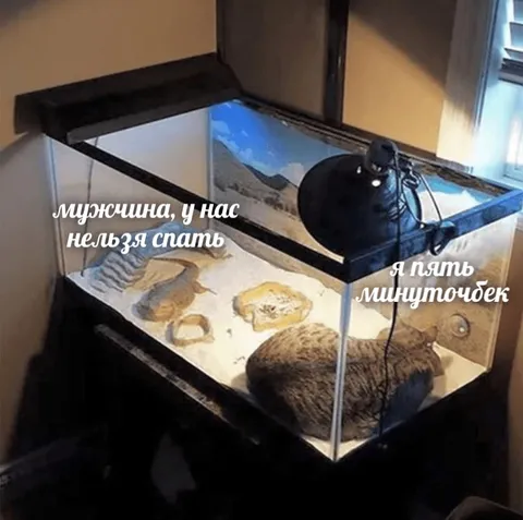 Пять минуточек в террариуме