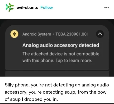 Phone Detects Soup Instead of Audio