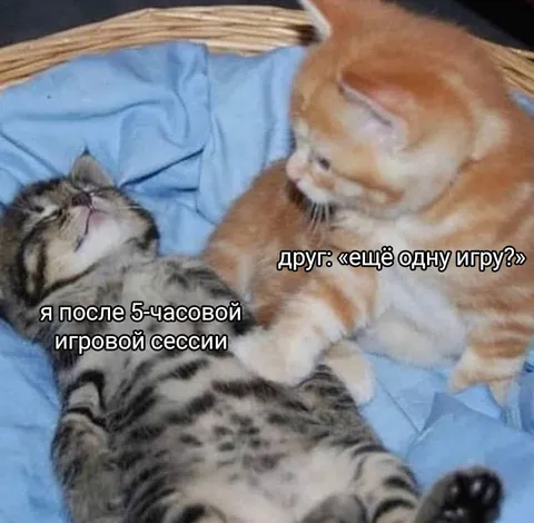 После пятичасовой игровой сессии