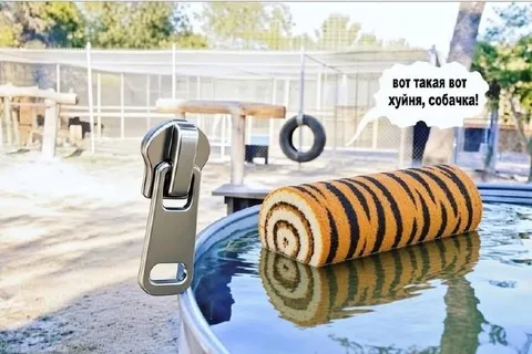 Вот такая хуйня, собачка