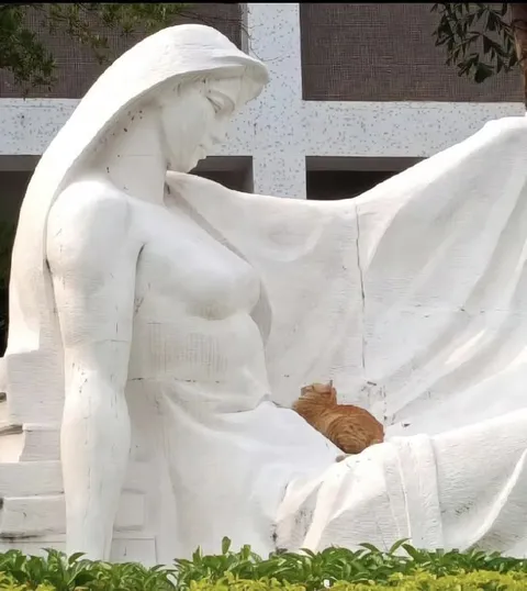 Кот на руках у статуи