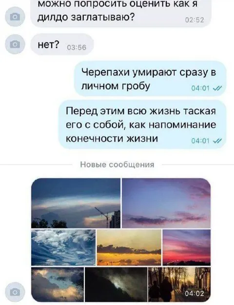 Черепаха в личном гробу