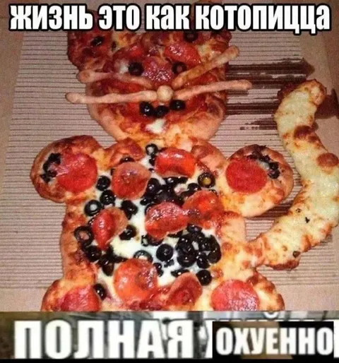 Жизнь как котопицца