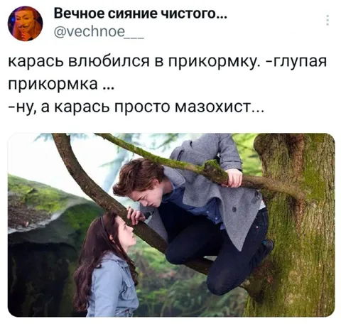 Карась влюбился в прикормку
