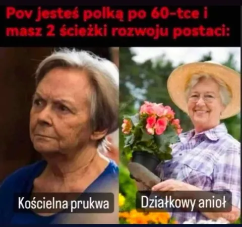 Dwie ścieżki rozwoju Polki po 60-tce