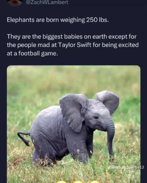 Taylor Swift Football Game Critics