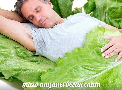 Тихо, пацаны, веган спит