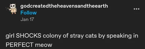 Girl Speaks Perfect Meow