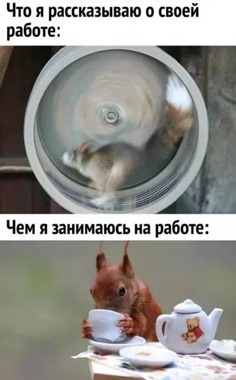 Что рассказываю о своей работе