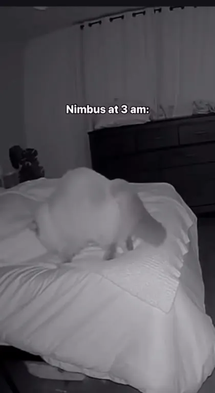 Nimbus at 3 AM