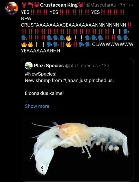 New Shrimp Species Celebration