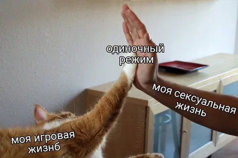 Одиночный режим жизни