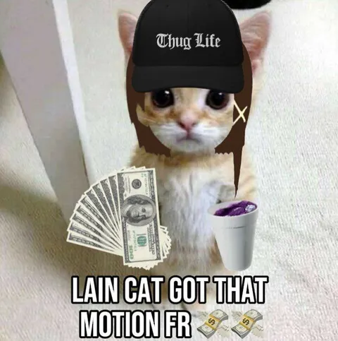 Lain Cat Got That Motion