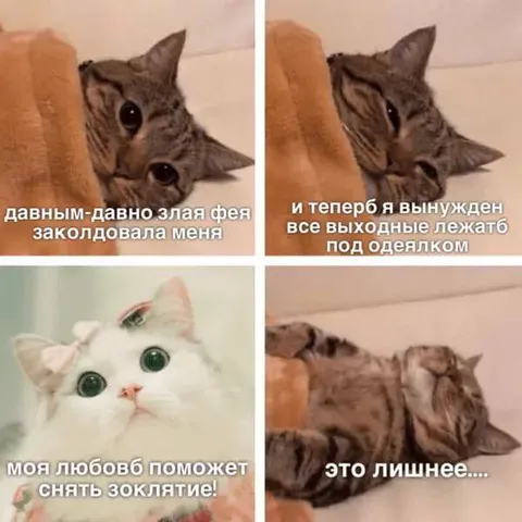 Проклятие лежать под одеялком