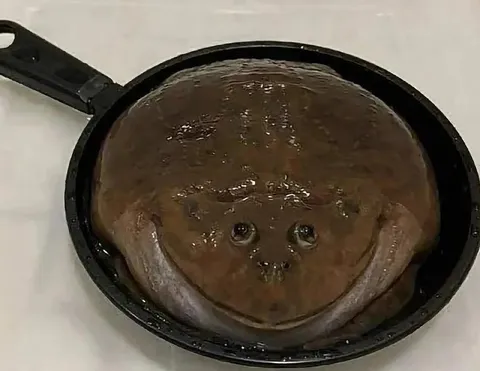 Блин с лицом