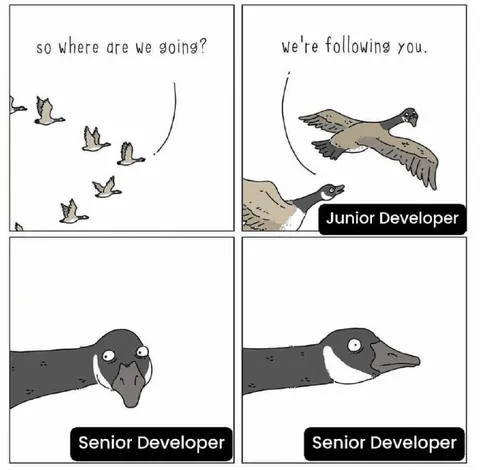 Junior Developer Follows Senior Developer