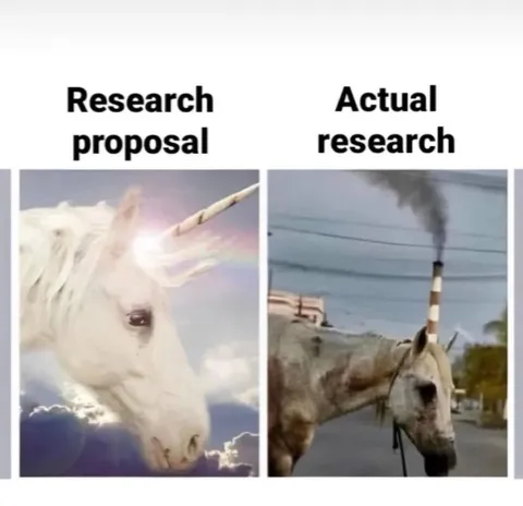 Research Proposal vs Actual Research