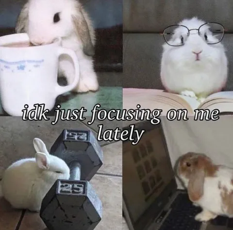 Bunny Focusing on Me Lately