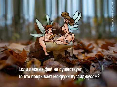 Кто покрывает мокрухи пуссиджусом