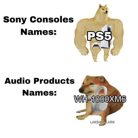 Sony Product Naming Meme