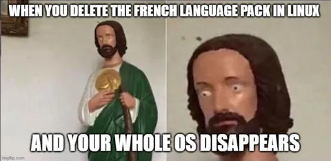 Deleted French Language Pack